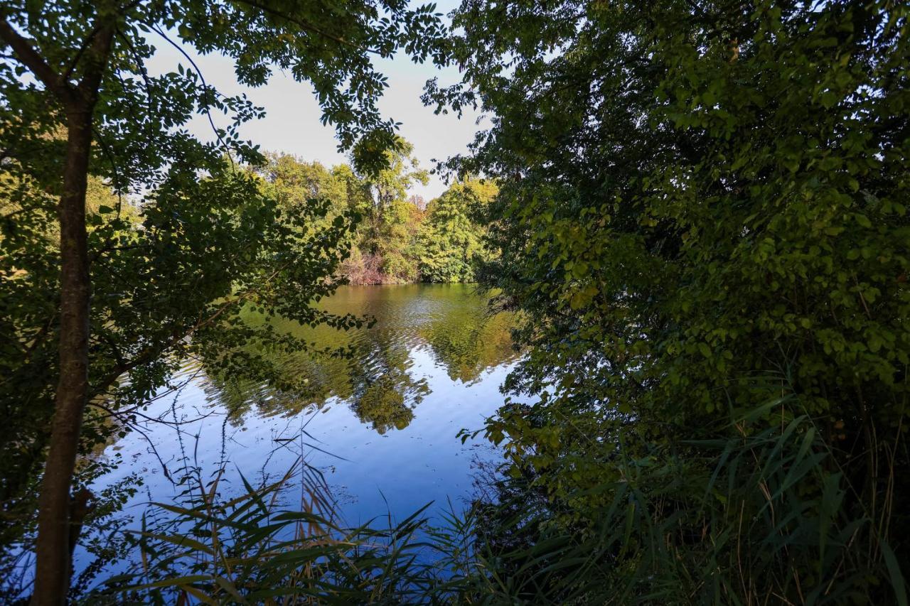 Le Saint Martin #Centre Ville #Charente #6Pers Коньяк Экстерьер фото